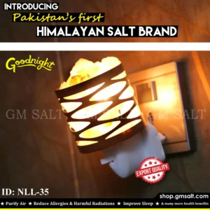 Himalayan Pink Salt Night Lamp NLL-35 │ GM SALT │ Home Décor │Himalayan Pink Salt Lamp│Salt Lamp │ 15 Watt Bulb │ GM SALT │Bedside Lamp│NLL-35