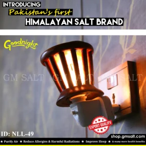 Himalayan Pink Salt Night Lamp NLL-49 │ GM SALT │ Home Décor │Himalayan Pink Salt Lamp│Salt Lamp │ 15 Watt Bulb │ GM SALT │Bedside Lamp│NLL-49