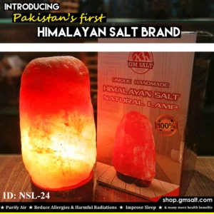 Pink Himalayan Rock Salt Lamp NSL-24 │ GM SALT │ Home Décor │Bedside Lamp │ Decoration for Side Table │ Natural Salt Lamp │ 15 Watt Bulb │ Cord Wire │ NSL-24
